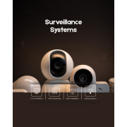 Survelliance Systems